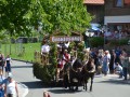 Talfest1  46 