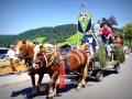 180812 TalfestSonntag 023 180812 TalfestSonntag 023