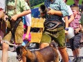 180812 TalfestSonntag 025 180812 TalfestSonntag 025
