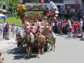 180812 TalfestSonntag 045 180812 TalfestSonntag 045