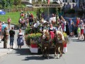 180812 TalfestSonntag 085 180812 TalfestSonntag 085